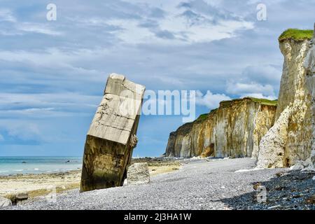 Francia, Seine-Maritime, blocco caduto dalla scogliera in Sainte-Marguerite-sur-Mer Foto Stock