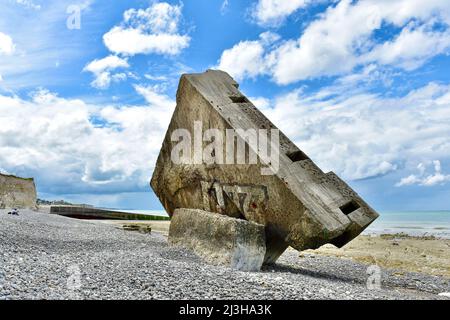 Francia, Seine-Maritime, blocco caduto dalla scogliera in Sainte-Marguerite-sur-Mer Foto Stock