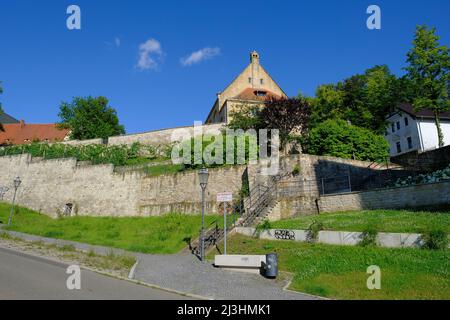 Chiesa del monastero francescano di Zeitz, Burgenlandkreis, Sassonia-Anhalt, Germania Foto Stock