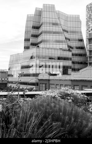 Chelsea, New York City, NY, USA, l'edificio IAC in vetro bianco dell'architetto Frank Gehry, la sede centrale di InterActiveCorp nel quartiere Chelsea di Manhattan visto dalla High Line - un popolare parco lineare costruito sulle linee ferroviarie sopraelevate sopra la Tenth Ave Foto Stock