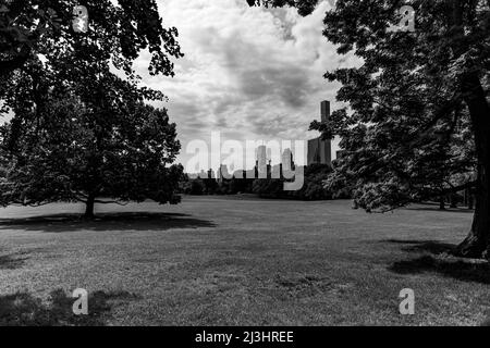 Runner's Grove, New York City, NY, USA, Grass in Central Park Foto Stock