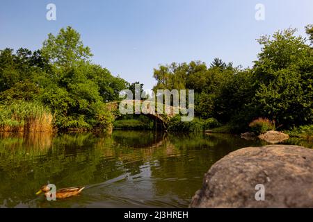 Gapstow Bridge, New York City, NY, USA, The Stone Bridge Gapstow Bridge è una delle icone di Central Park Foto Stock