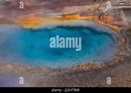 Sorgente di Firehole lungo Firehole Lake Drive nel parco nazionale di Yellowstone, Stati Uniti Foto Stock