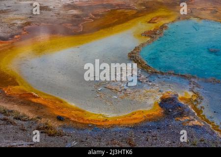 Sorgente di Firehole lungo Firehole Lake Drive nel parco nazionale di Yellowstone, Stati Uniti Foto Stock