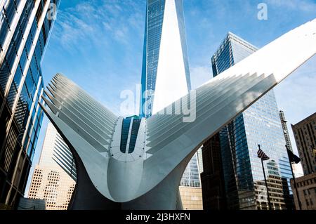 WTC CORTLANDT, New York City, NY, USA, World Trade Center Transportation Hub o Oculus progettato dall'architetto Santiago Calatrava nel quartiere finanziario vista dall'esterno Foto Stock