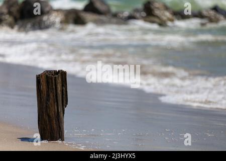 Camp Rockaway FORT TILDEN, New York City, NY, USA, Un pezzo di legno sulla spiaggia Foto Stock