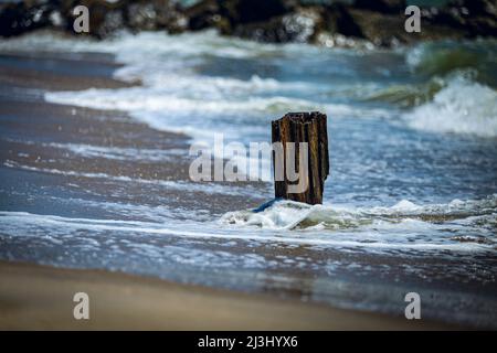 Camp Rockaway FORT TILDEN, New York City, NY, USA, Un pezzo di legno sulla spiaggia Foto Stock