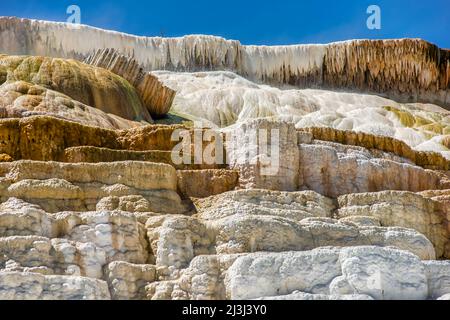 Terrazze in travertino Mammoth nel Parco Nazionale di Yellowstone Foto Stock