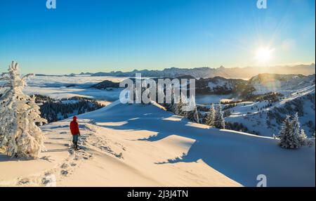 Escursionista godersi l'alba in inverno nevoso Allgäu Alpi. Siplingerkopf, Baviera, Germania, Europa Foto Stock