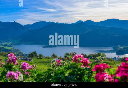 Schliersee in alta Baviera, Baviera, Germania, Europa Foto Stock