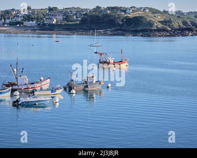 Barche da pesca nel pomeriggio nel porto di Erquy nel dipartimento di Côtes-d'Armor in Bretagna, Francia Foto Stock