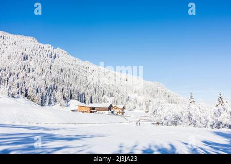 Kleinarl, Valle Kleinarlbach, hoarfrost, neve, chalet sci, Sci di fondo a Pongau, Salisburgo, Austria Foto Stock