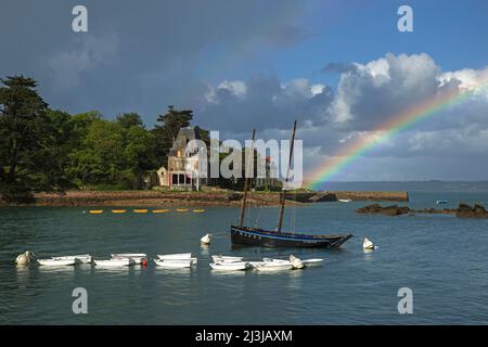 Douarnenez, vista sull'acqua per l'isola di marea Ile Tristan, Francia, Bretagna, Département Finistère Foto Stock