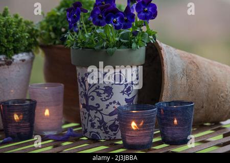 Natura morta, violetti cornati in fiore blu e candele brucianti in lanterne, decorazione suggestiva in tonalità violacee e blu Foto Stock