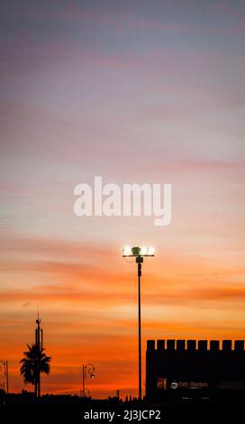 Mura della città, palme, tramonto, città, Meknes, Maghreb, Marocco, Africa Foto Stock