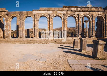 Volubilis, sito archeologico, antichità, Maghreb, Marocco, Africa Foto Stock