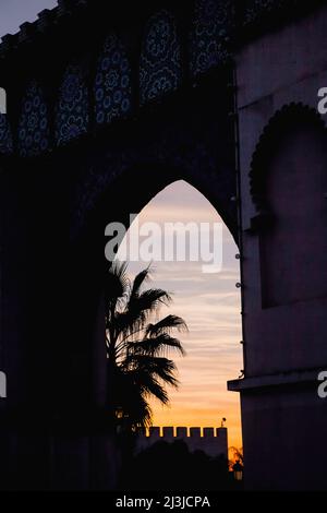 Mura della città, palme, tramonto, città, Meknes, Maghreb, Marocco, Africa Foto Stock