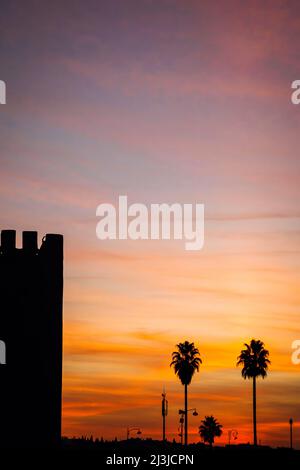 Mura della città, palme, tramonto, città, Meknes, Maghreb, Marocco, Africa Foto Stock