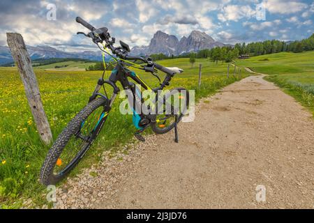 Italia, Alto Adige / Alto Adige / Südtirol, Castelrotto / Kastelruth, Alpe di Siusi / alpe di Siusi - e-bike su una strada di ghiaia e sullo sfondo Sassolungo / Langkofel e Sassopiatto / Plattkofel, Dolomiti Foto Stock