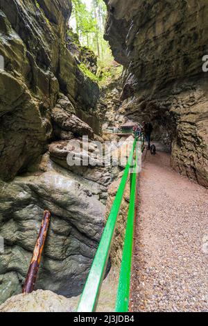 Percorso attraverso la gola di Breitachklamm Foto Stock