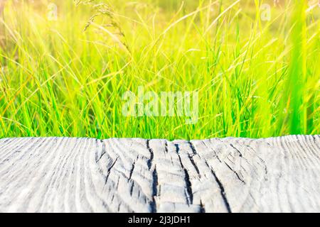 Vecchio asse di legno su uno sfondo sfumato giallo-verde frondoso. Luogo per il testo, base per le cartoline. Foto Stock