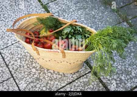 Cestino pieno di frutta e verdura dal mercato locale settimanale in Germania Foto Stock