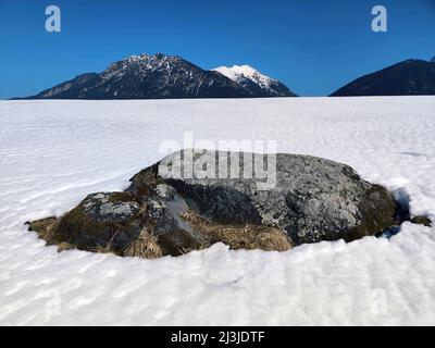 Masso irregolare dell'ultimo periodo freddo sul Buckelwiesen vicino Würm Krün, alta Baviera Foto Stock