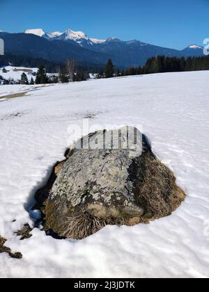 Masso irregolare dell'ultimo periodo freddo sul Buckelwiesen vicino Würm Krün, alta Baviera Foto Stock