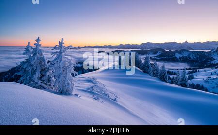 Dawn in paesaggio invernale nevoso, Vista da Siplingerkopf vicino Balderschwang alle Alpi Allgäu sopra la nebbia, Baviera, Germania, Europa Foto Stock