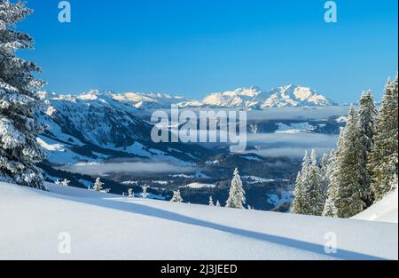 Paesaggio di montagna innevato in una giornata di sole in inverno, Vista da Siplingerkopf vicino Balderschwang attraverso Vorarlberg alle Alpi Appenzell con Alpstein e Churfirsten, Austria, Svizzera, Europa Foto Stock