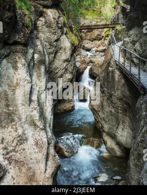 Il torrente scorre su piccoli scalini rocciosi nella gola di Starzlachklamm in primavera, Sonthofen, Allgäu, Baviera, Germania, Europa Foto Stock