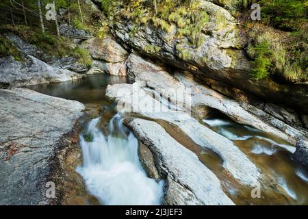 Il torrente scorre su piccoli scalini rocciosi nella gola di Starzlachklamm in primavera, Sonthofen, Allgäu, Baviera, Germania, Europa Foto Stock