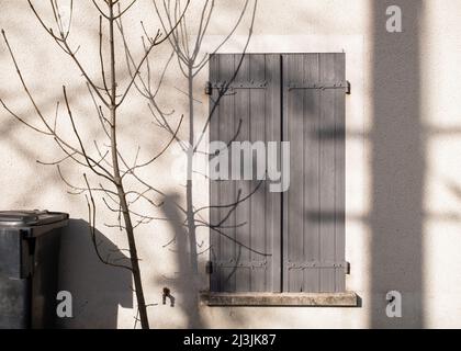 Chiuse persiane grigie su pareti di casa color grigio vista dall'esterno con ombre di rami di albero. In una giornata invernale soleggiata in Francia Foto Stock