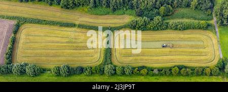 Vista aerea, raccolta di fieno, lavoro di raccolta con trattore su un campo nei prati Lippe nel distretto di Heessen in Hamm, Ruhr zona, Nord Reno-Westpha Foto Stock