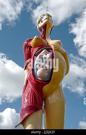 Yorkshire Sculpture Park con opere d'arte di Henry moore e damian Hurst Foto Stock