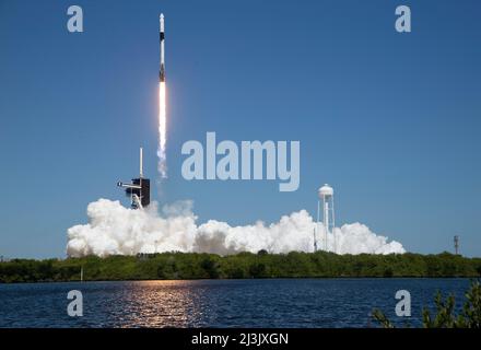 Florida, Stati Uniti. 08th Apr 2022. Un razzo SpaceX Falcon 9 che trasporta la navicella spaziale Crew Dragon dell'azienda è lanciato su Axiom Mission 1 (Ax-1) alla Stazione spaziale Internazionale con il comandante Michael López-Alegría di Spagna e degli Stati Uniti, il pilota Larry Connor degli Stati Uniti e gli specialisti della missione Eytan Stibbe di Israele, E Mark Pathy del Canada a bordo, venerdì 8 aprile 2022, presso il Kennedy Space Center della NASA in Florida. La missione Ax-1 è la prima missione privata di astronauti alla Stazione spaziale Internazionale. López-Alegría, Connor, Pathy, Stibbe lanciato alle 11:17 dal Launch Compl Foto Stock