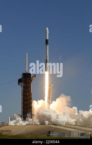 Florida, Stati Uniti. 08th Apr 2022. Un razzo SpaceX Falcon 9 lancia il primo equipaggio commerciale di quattro per Axiom Space alla Stazione spaziale Internazionale dal complesso 39A al Kennedy Space Center, Florida, venerdì 8 aprile 2022. Photo by Bill Cantrell/UPI Credit: UPI/Alamy Live News Credit: UPI/Alamy Live News Foto Stock