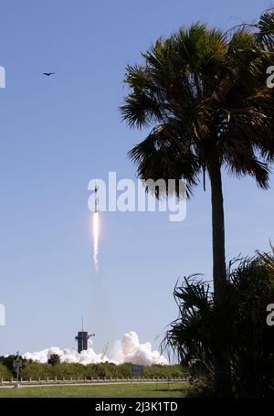 Florida, Stati Uniti. 08th Apr 2022. Un razzo SpaceX Falcon 9 che trasporta la navicella spaziale Crew Dragon dell'azienda è lanciato su Axiom Mission 1 (Ax-1) alla Stazione spaziale Internazionale con il comandante Michael López-Alegría di Spagna e degli Stati Uniti, il pilota Larry Connor degli Stati Uniti e gli specialisti della missione Eytan Stibbe di Israele, E Mark Pathy del Canada a bordo, venerdì 8 aprile 2022, al Centro spaziale NASAs Kennedy in Florida. La missione Ax-1 è la prima missione privata di astronauti alla Stazione spaziale Internazionale. López-Alegría, Connor, Pathy, Stibbe lanciato alle 11:17 dal Launch Compl Foto Stock