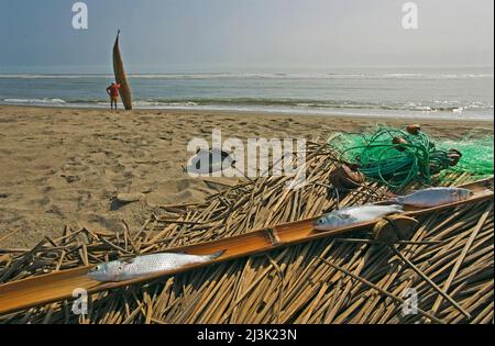 Pescato utilizzando la totora, una barca a canna vista sullo sfondo, a Huanchaco, vicino Trujillo, Perù; Huanchaco, Perù Foto Stock