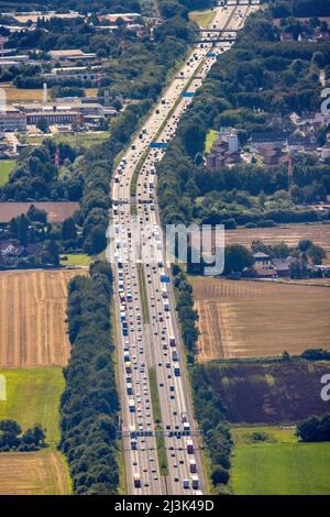 Foto aerea, volume del traffico sull'autostrada A1 a Südkamen, ingorgo di autocarri, Kamen, zona della Ruhr, Renania settentrionale-Vestfalia, Germania, Autostrada, DE, Europa Foto Stock