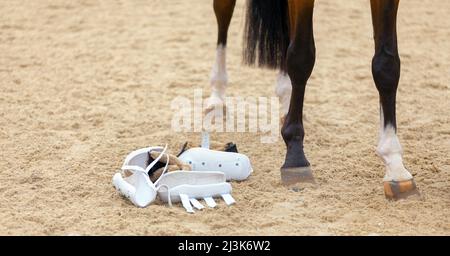 Primo piano delle gambe e zoccoli da un cavallo. Tendine stecca stivali aria mesh per cavallo. Sport equestre. Stallone purosangue. Campo sportivo di sabbia Foto Stock