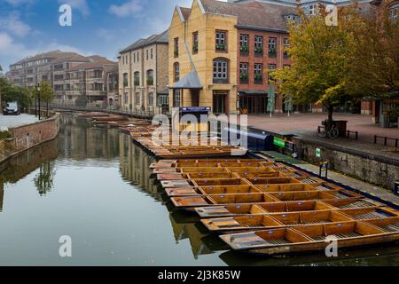 Regno Unito Inghilterra Cambridge. Sterline sul fiume Cam, la mattina presto. Foto Stock