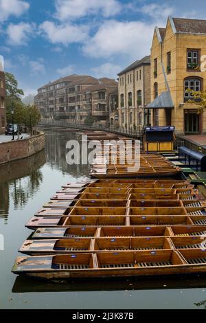 Regno Unito Inghilterra Cambridge. Sterline sul fiume Cam, la mattina presto. Foto Stock