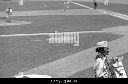Fornitore di arachidi che lavora le navate del Dodger Stadium mentre il lanciatore rilascia un campo in una partita di giorno nel 1978. Foto Stock