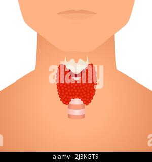 Tiroide negli uomini, illustrazione concettuale Foto Stock