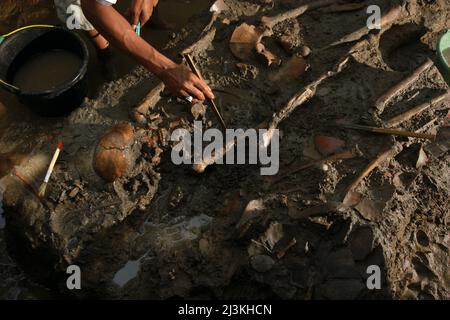Lavoratori e archeologi della Ricerca Archeologica Nazionale indonesiana scavando un sito preistorico di sepoltura a Tempuran, Karawang, Indonesia. Foto Stock
