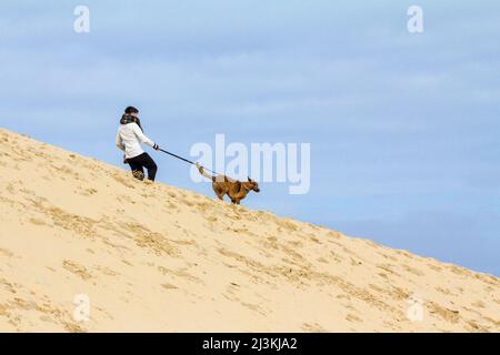 Foto di persone, una ragazza, scendere la duna Pyla Sand, correre, cercando di controllare il suo cane durante un pomeriggio di sole. La Duna di Pilat (Dune du pila Foto Stock