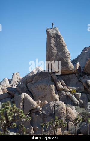 Un scalatore sulla lapide formazione rocciosa a Joshua National Park. Foto Stock