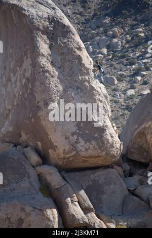 Un scalatore sulla lapide formazione rocciosa a Joshua National Park. Foto Stock