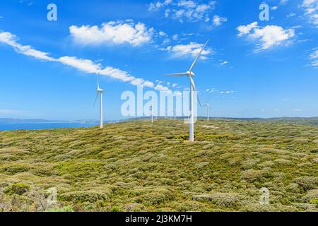 Turbine eoliche che si affacciano sull'oceano presso la Albany Wind Farm, la penisola di Torndirrup, Albany, Australia Occidentale, Australia Foto Stock